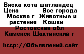 Вяска кота шатландец › Цена ­ 1 000 - Все города, Москва г. Животные и растения » Кошки   . Ростовская обл.,Каменск-Шахтинский г.